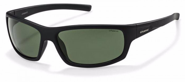 Polaroid Core P8411 Sunglasses