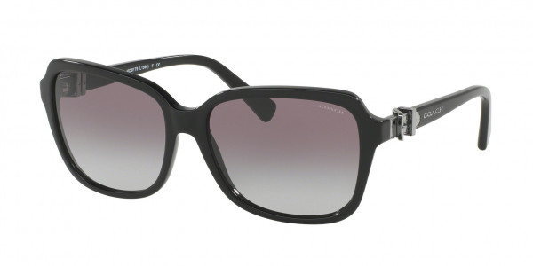 Coach HC8179 L1598 Sunglasses