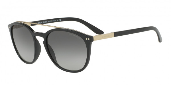 Giorgio Armani AR8088 Sunglasses