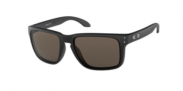 Oakley OO9417 HOLBROOK XL Sunglasses
