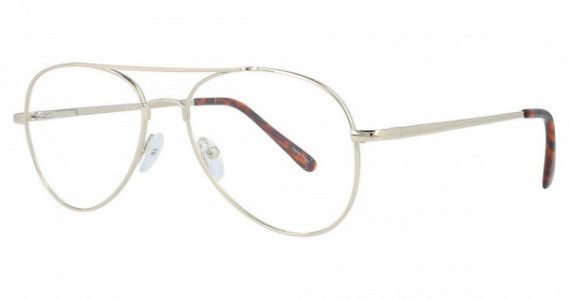 Peachtree PT 98 Eyeglasses, Gold