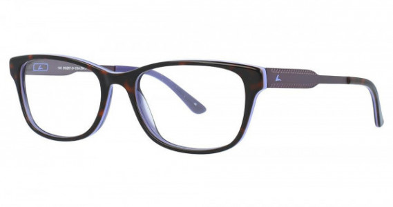 Hilco OnGuard OG619 Safety Eyewear