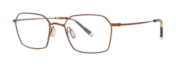 Paradigm 19-02 Eyeglasses, Bronze