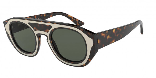 Giorgio Armani AR8135 Sunglasses