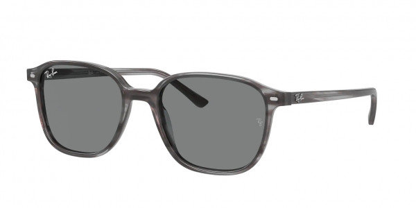 Ray-Ban RB2193 LEONARD Sunglasses