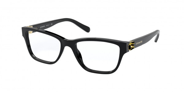 Coach HC6154F Eyeglasses