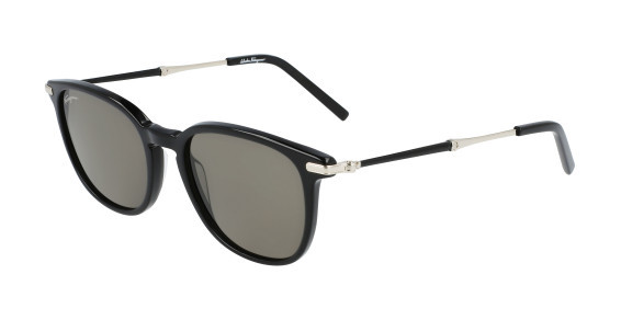 Ferragamo SF1015S Sunglasses