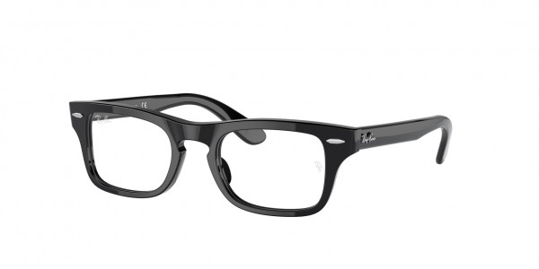 Ray-Ban Junior RY9083V JUNIOR BURBANK Eyeglasses