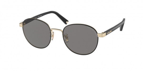 Coach HC7131 C6195 Sunglasses