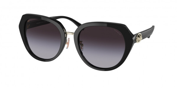 Coach HC8331 C6189 Sunglasses