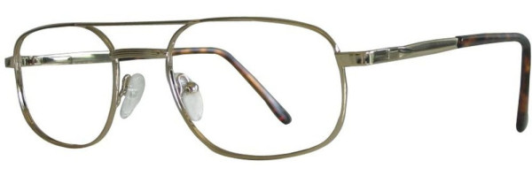 Fundamentals F201 Eyeglasses, Gold