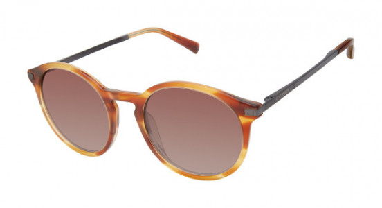 Ted Baker TMS094 Sunglasses