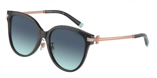 Tiffany & Co. TF4193BF Sunglasses