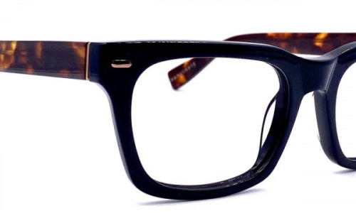 Sanctuary BREE Eyeglasses, Bkt Black Tortoise