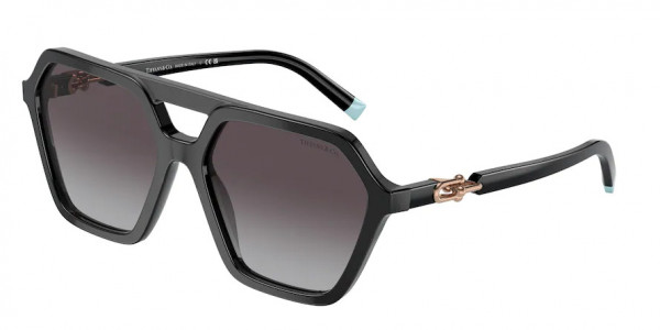 Tiffany & Co. TF4198 Sunglasses