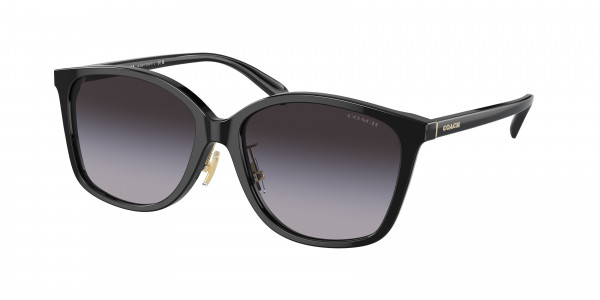 Coach HC8361F CH617 Sunglasses