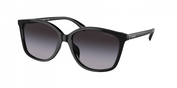 Coach HC8361U CH558 Sunglasses