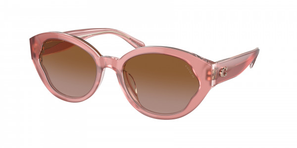 Coach HC8364U CH569 Sunglasses