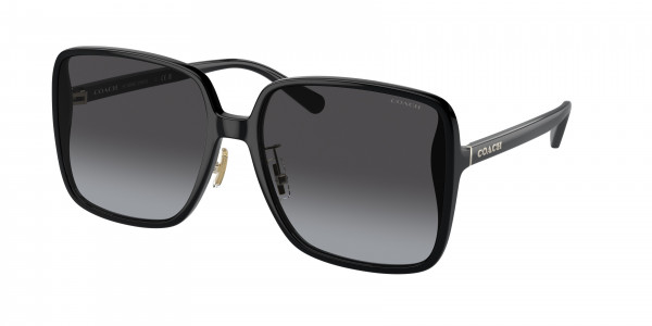 Coach HC8368D CH572 Sunglasses, 580046 CH572 TRANSPARENT BERRY GREY P (RED)