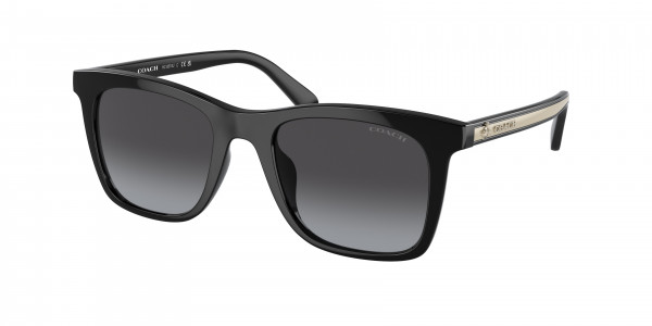 Coach HC8374U CH561 Sunglasses