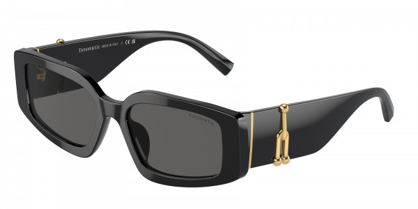 Tiffany & Co. TF4208U Sunglasses