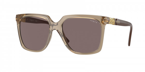 Vogue VO5476SB Sunglasses