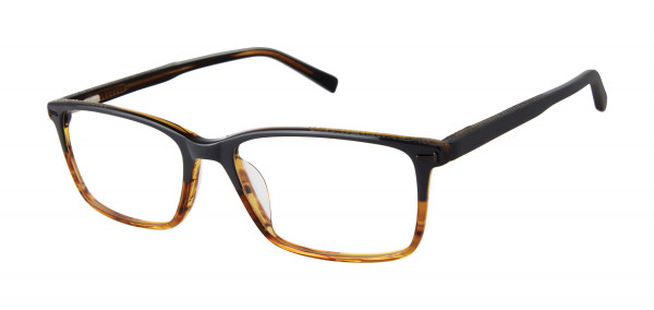 Ted Baker TFM013 Eyeglasses, Black (BLK)