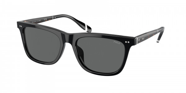 Polo PH4205U Sunglasses