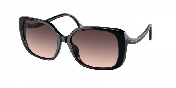 Coach HC8376U CL929 Sunglasses