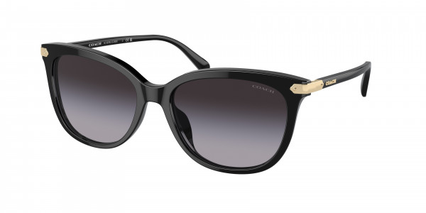 Coach HC8378U CL926 Sunglasses