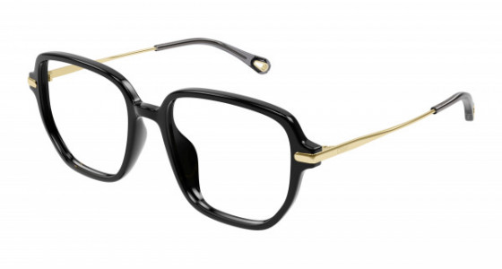 Chlo&eacute; CH0218OA Eyeglasses