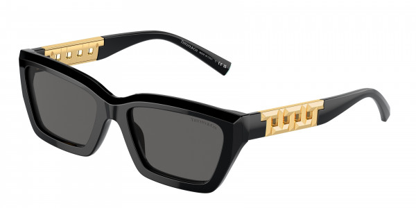 Tiffany & Co. TF4213F Sunglasses