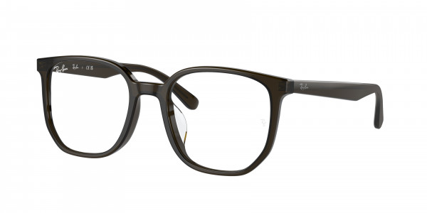Ray-Ban Optical RX5411D Eyeglasses