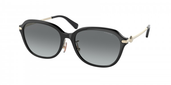 Coach HC8332D C6199 Sunglasses