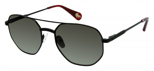 Robert Graham GIBSON Sunglasses, black