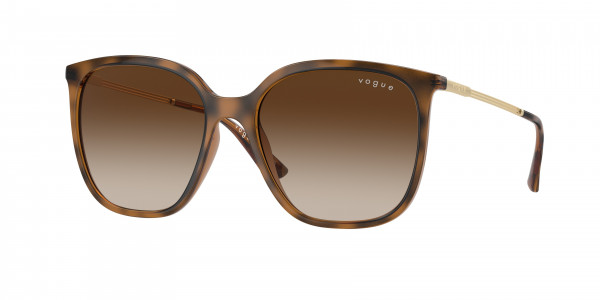 Vogue VO5564S Sunglasses