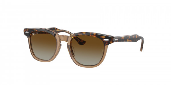 Ray-Ban Junior RJ9098SF Sunglasses