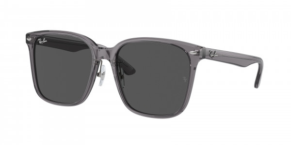 Ray-Ban RB2206D Sunglasses, 139987 TRANSPARENT GREY DARK GREY (GREY)