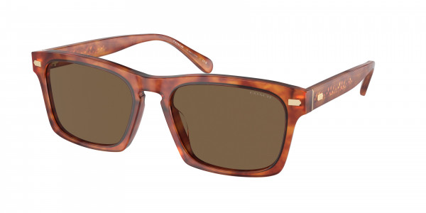 Coach HC8397U CR628 Sunglasses