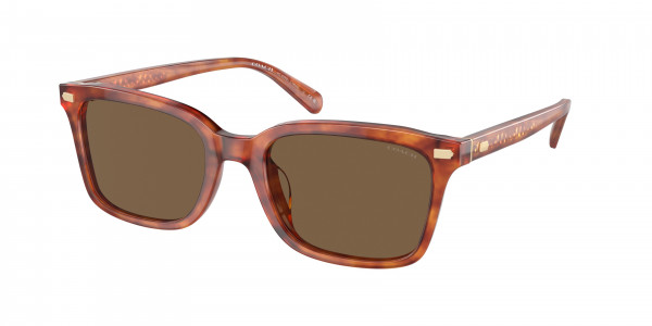 Coach HC8398U CR630 Sunglasses