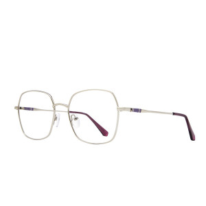 Stylewise SW464 Eyeglasses