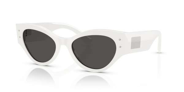 Dolce & Gabbana DG4480 Sunglasses