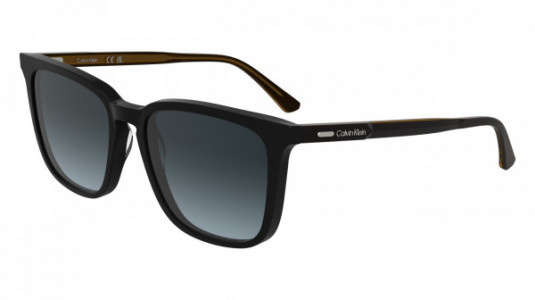Calvin Klein CK25507S Sunglasses, (001) BLACK