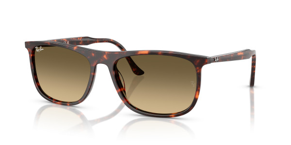 Ray-Ban RB2216F Sunglasses