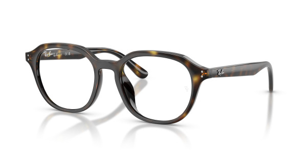 Ray-Ban Optical RX7259D Eyeglasses