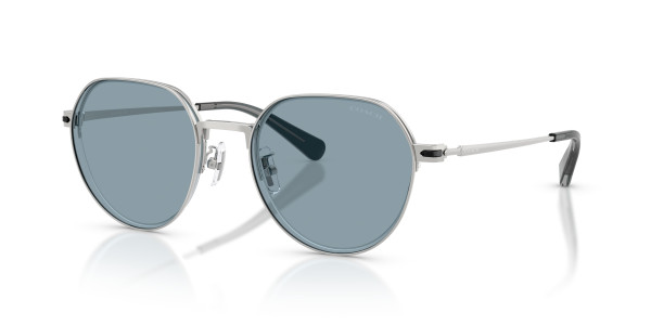 Coach HC7179 CAE81 Sunglasses