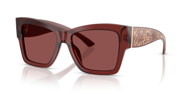 Dolce & Gabbana DG4493 Sunglasses