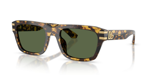 Dolce & Gabbana DG4496 Sunglasses