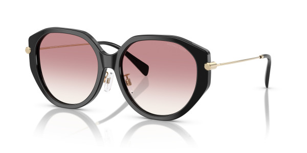 Michael Kors MK2248D JINAN Sunglasses