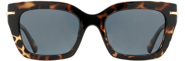 INVU INVU Sunwear 324 Sunglasses